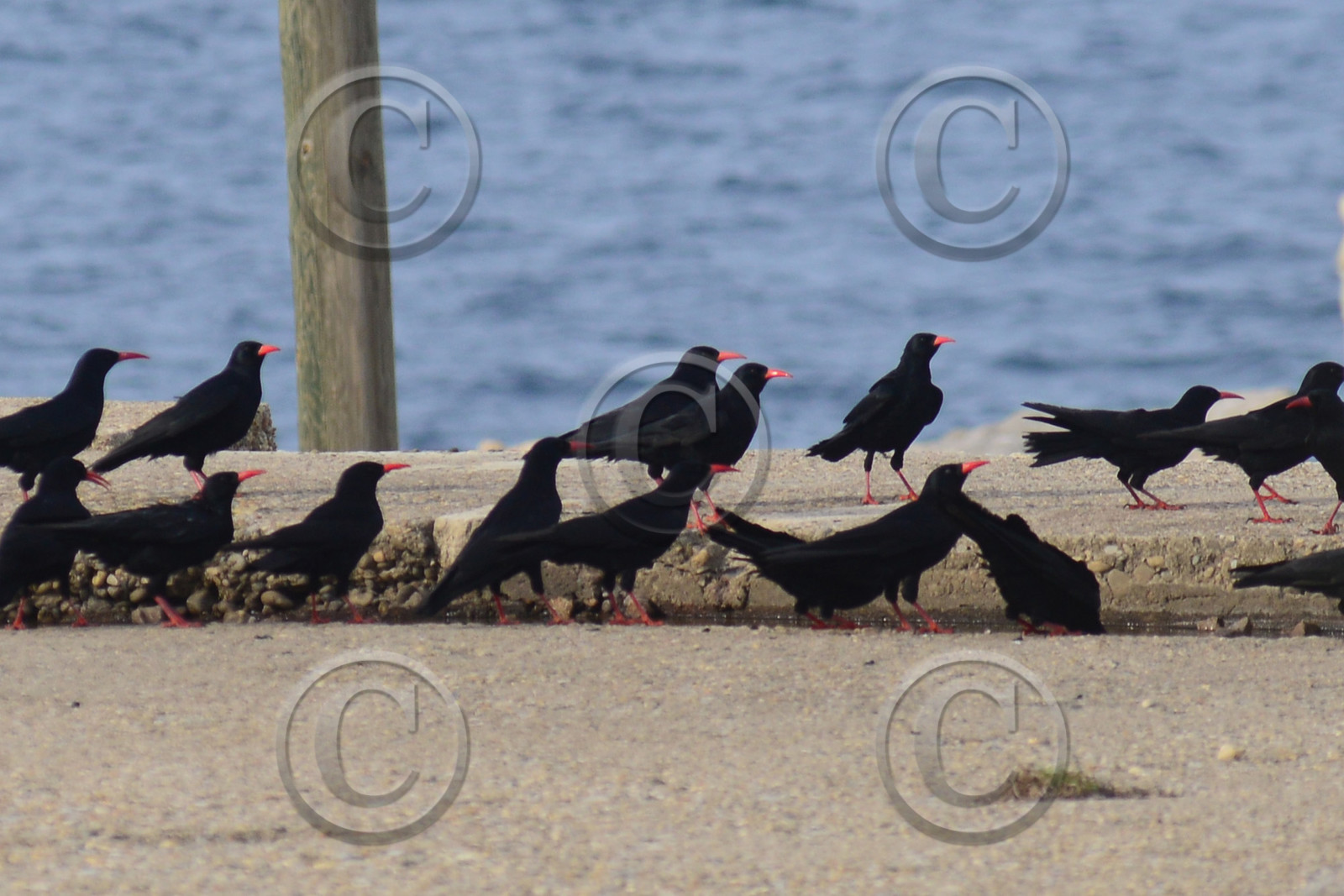 MISE A  JOUR  en cours