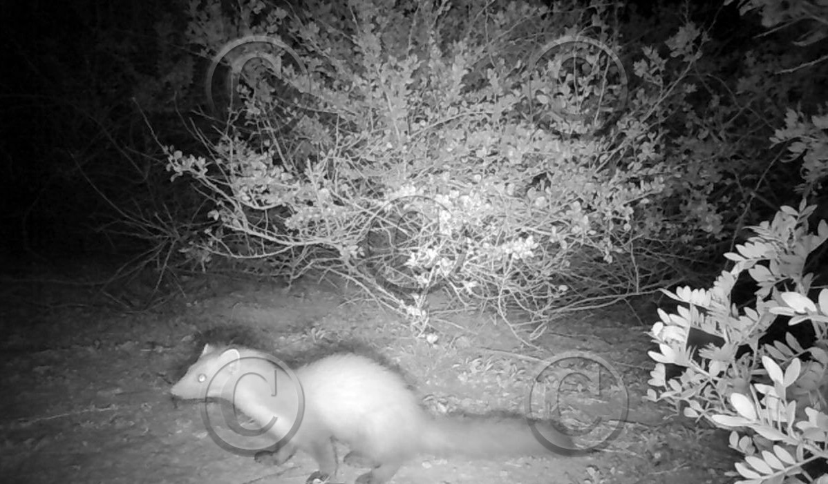 MISE A  JOUR  en cours