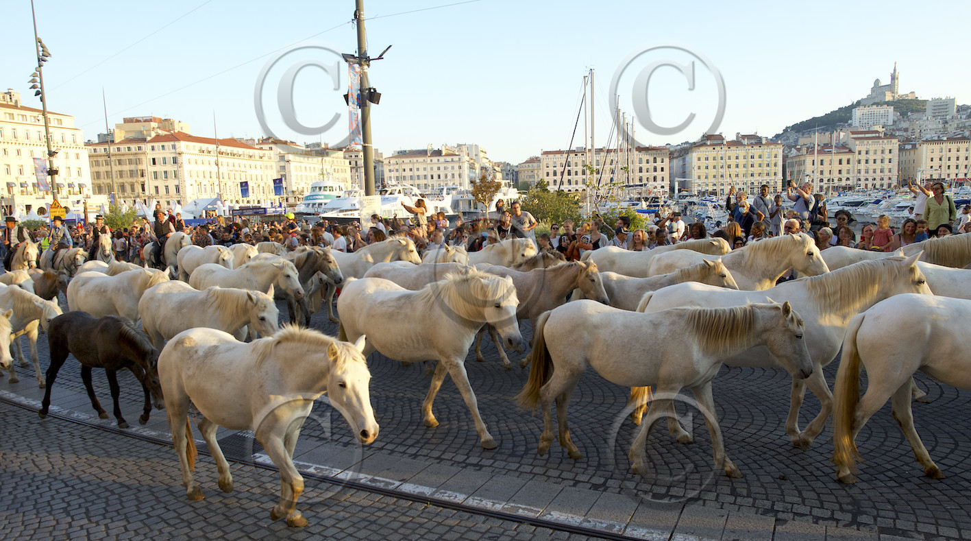 Marseille un jour d'octobre