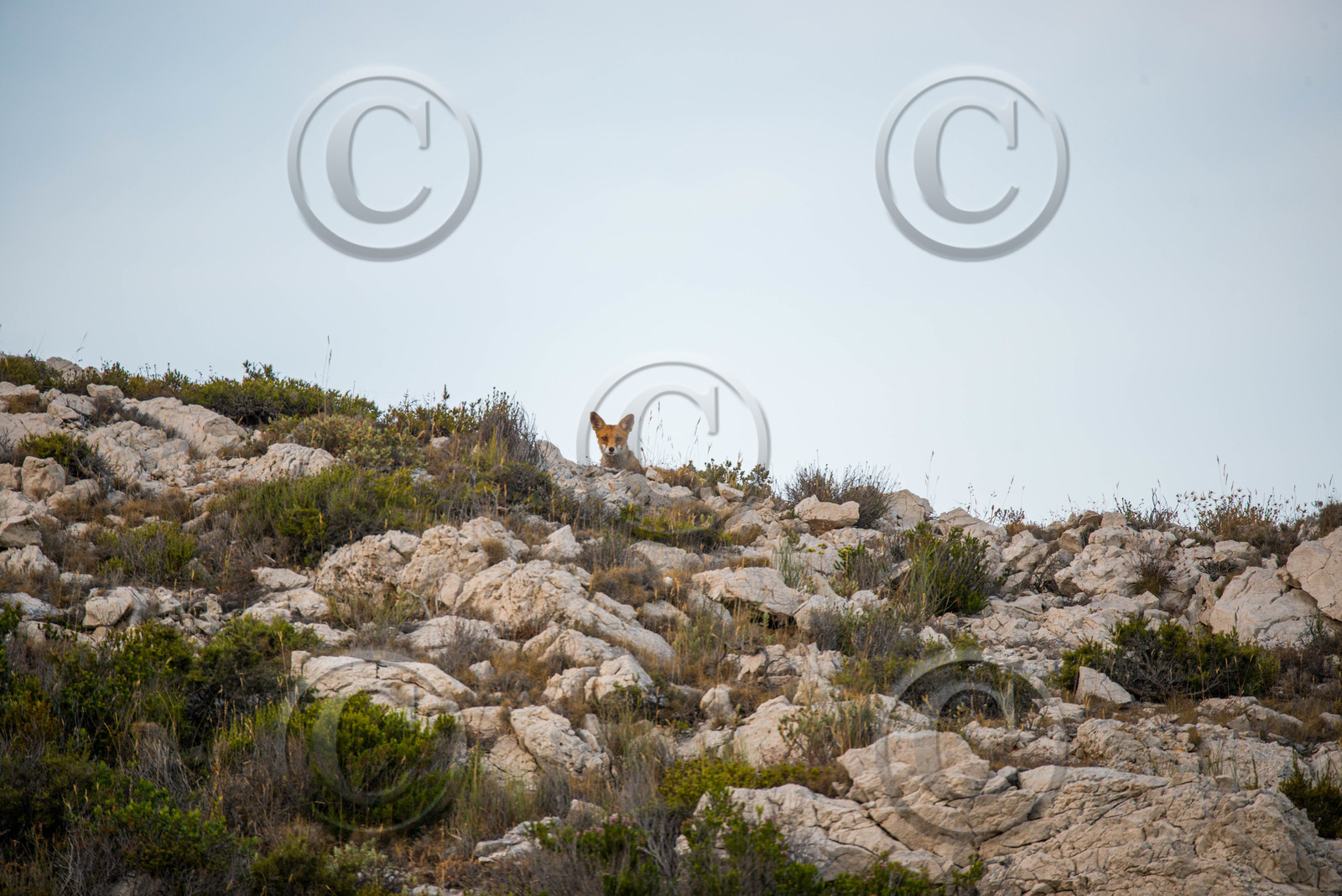 MISE A  JOUR  en cours