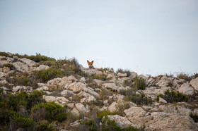 MISE A  JOUR  en cours