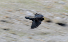 MISE A  JOUR  en cours