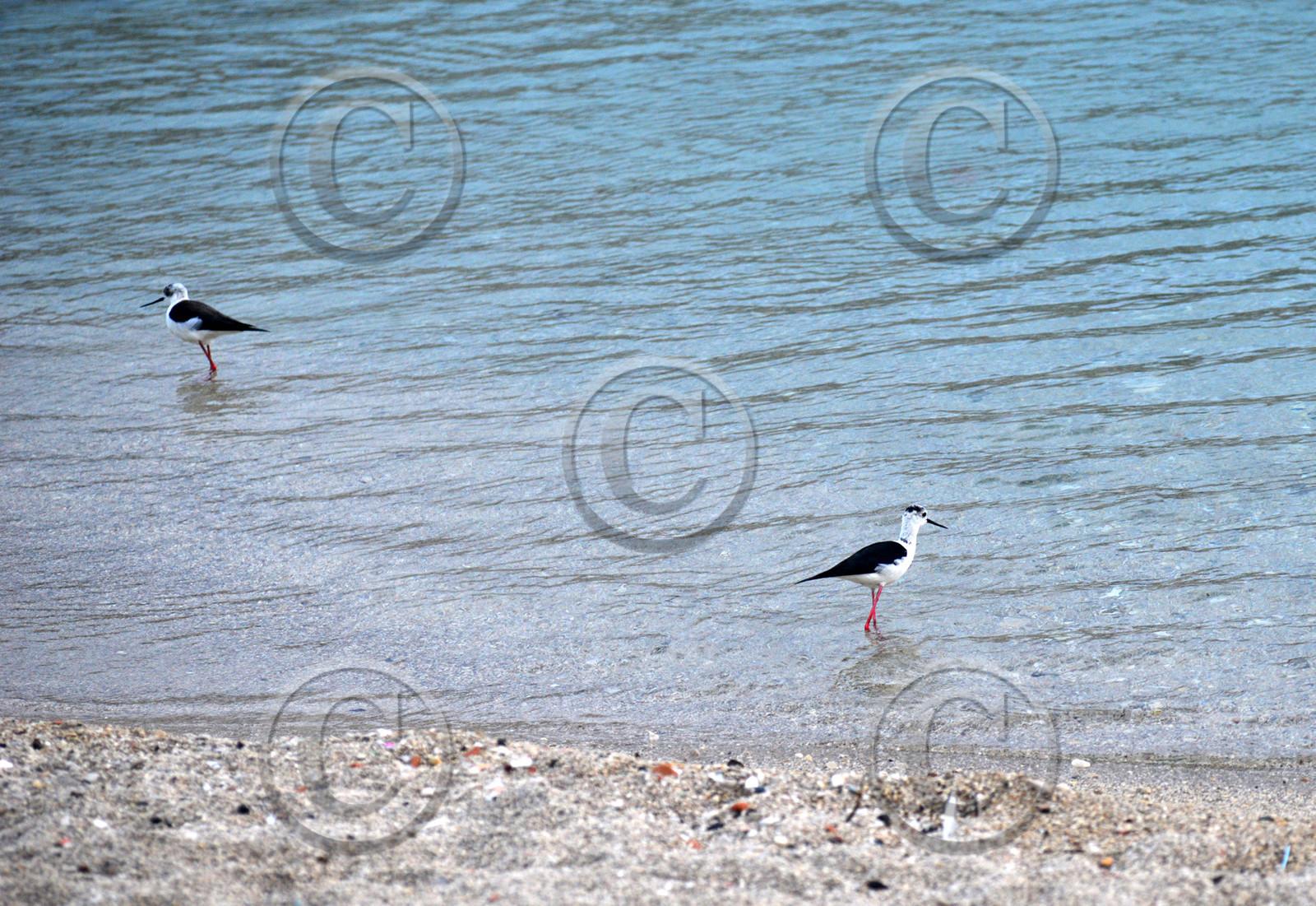 MISE A  JOUR  en cours