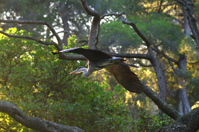 MISE A  JOUR  en cours