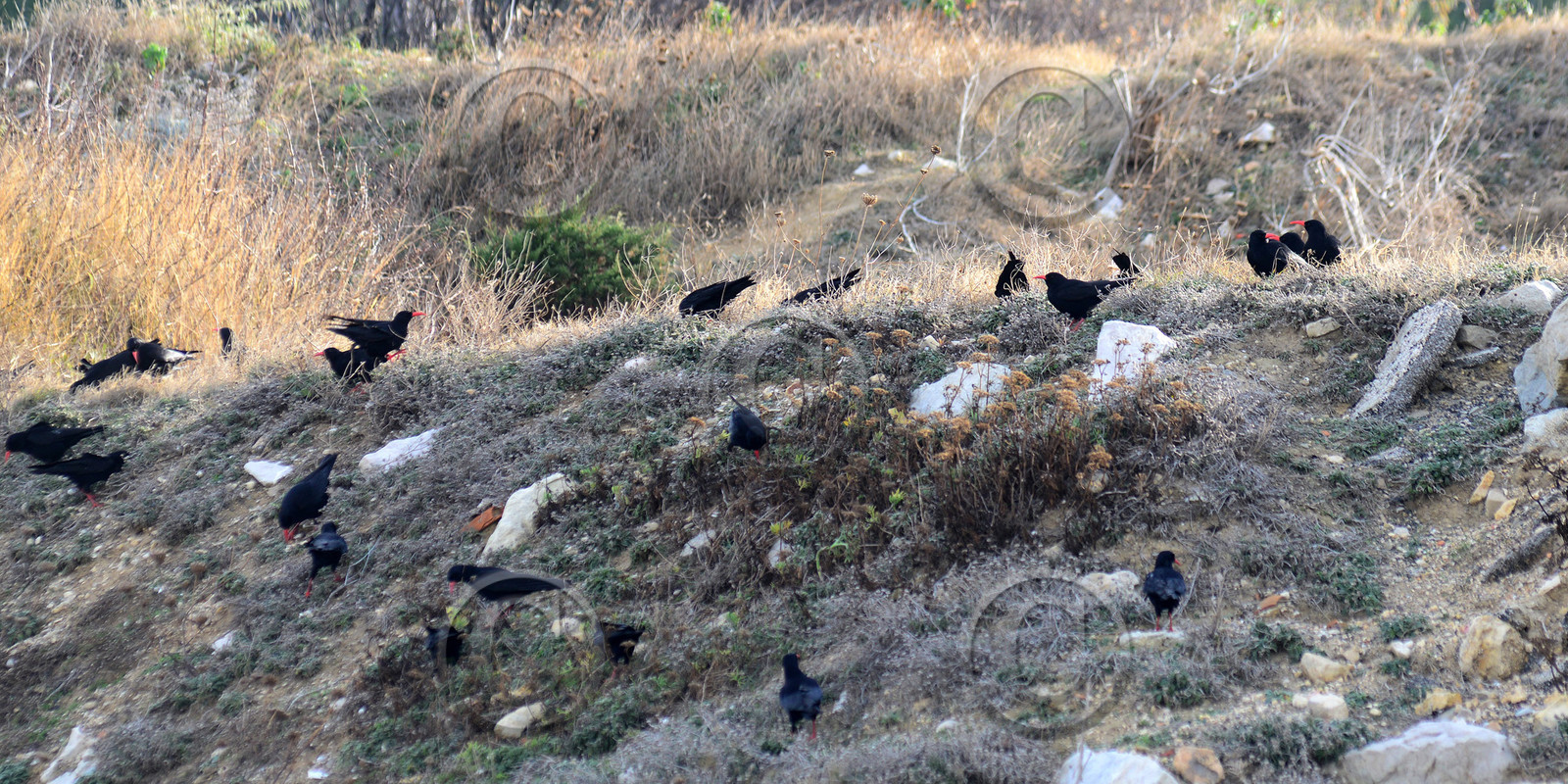 MISE A  JOUR  en cours