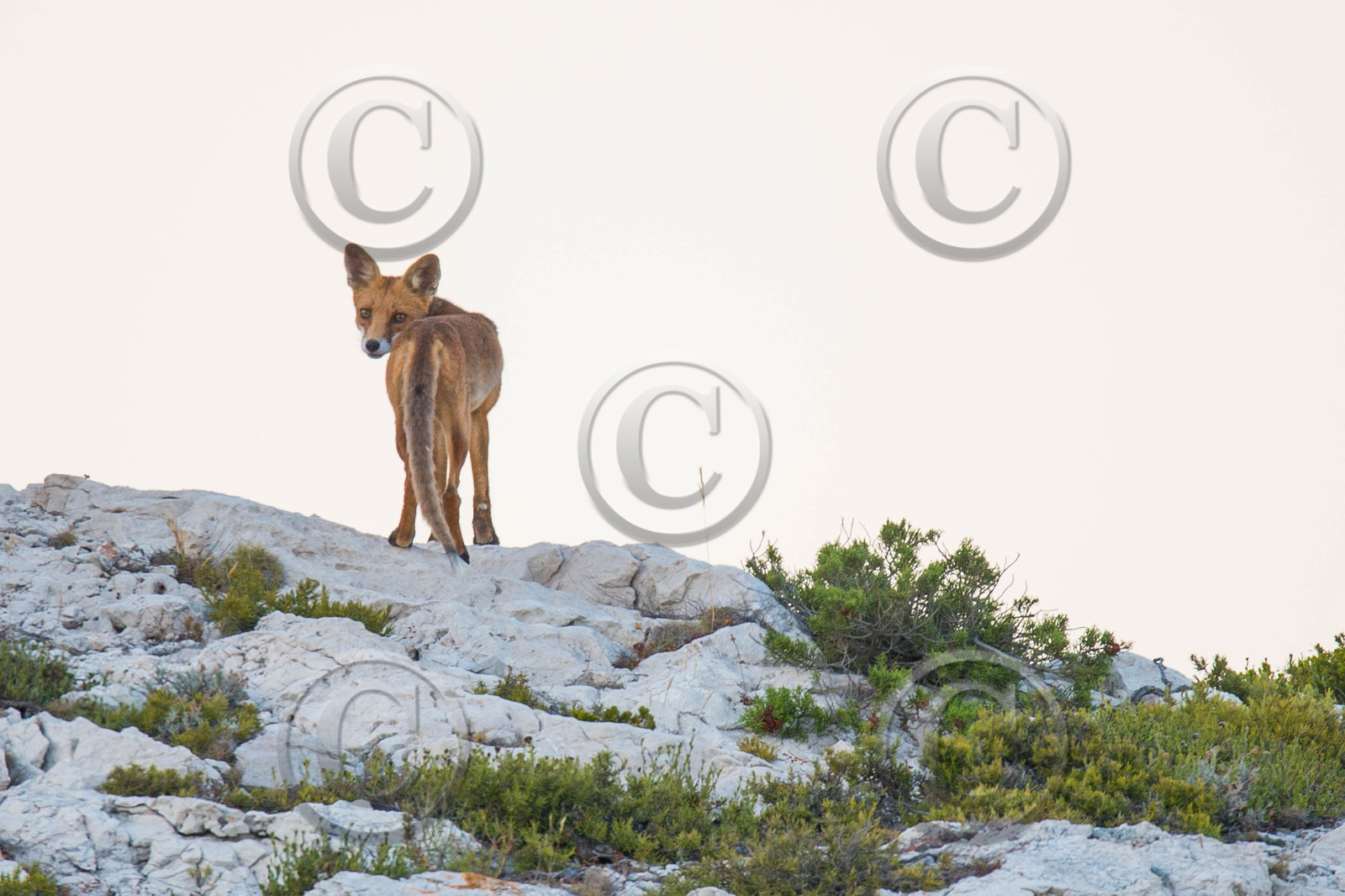 MISE A  JOUR  en cours