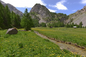 DANS LES ALPES DU SUD  , LE QUEYRAS