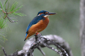 MISE A  JOUR  en cours