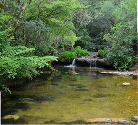 Photo de la sainte baume