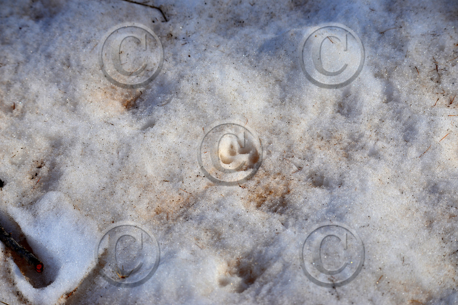 MISE A  JOUR  en cours