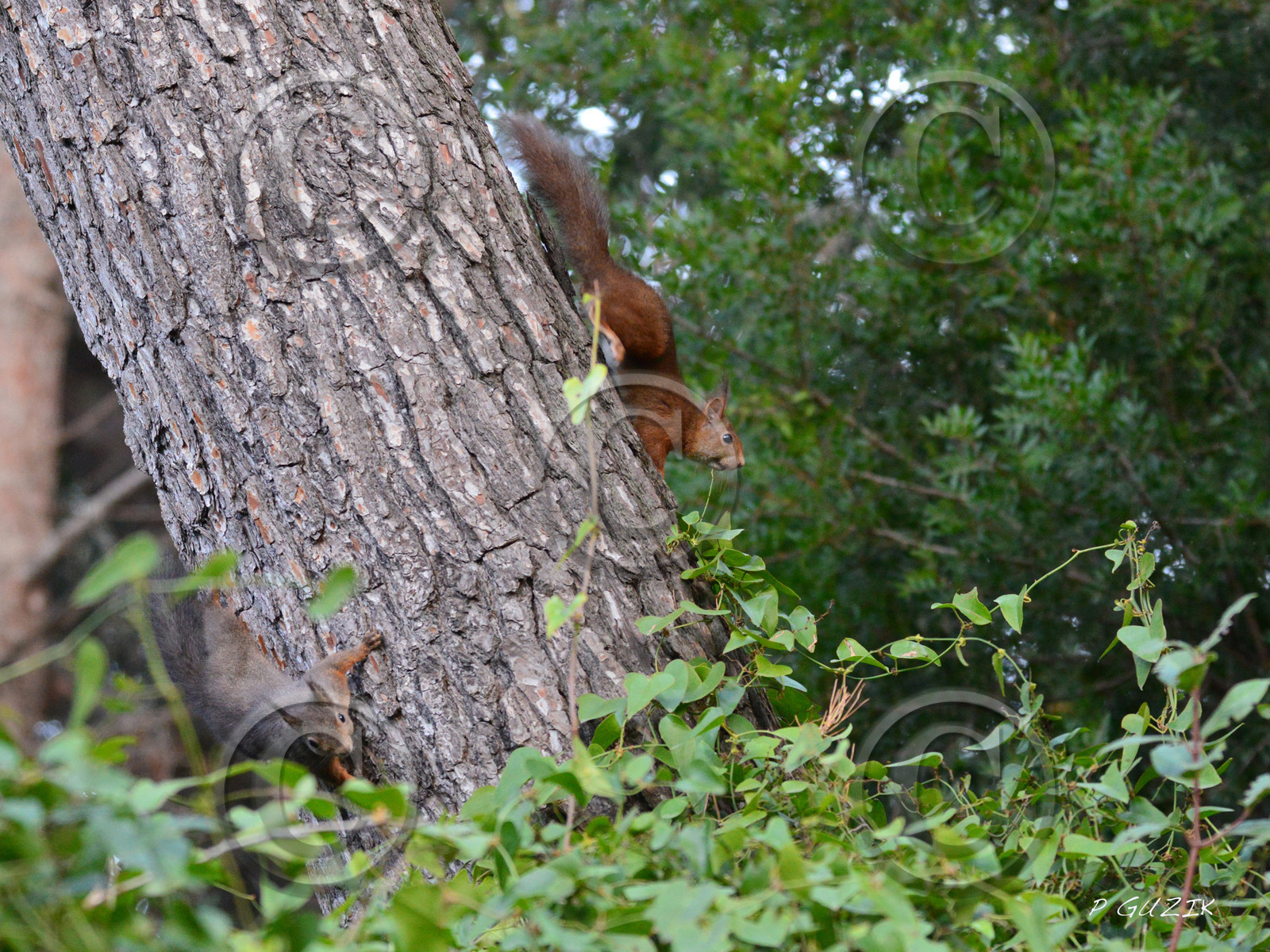 MISE A  JOUR  en cours