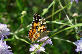 MISE A  JOUR  en cours