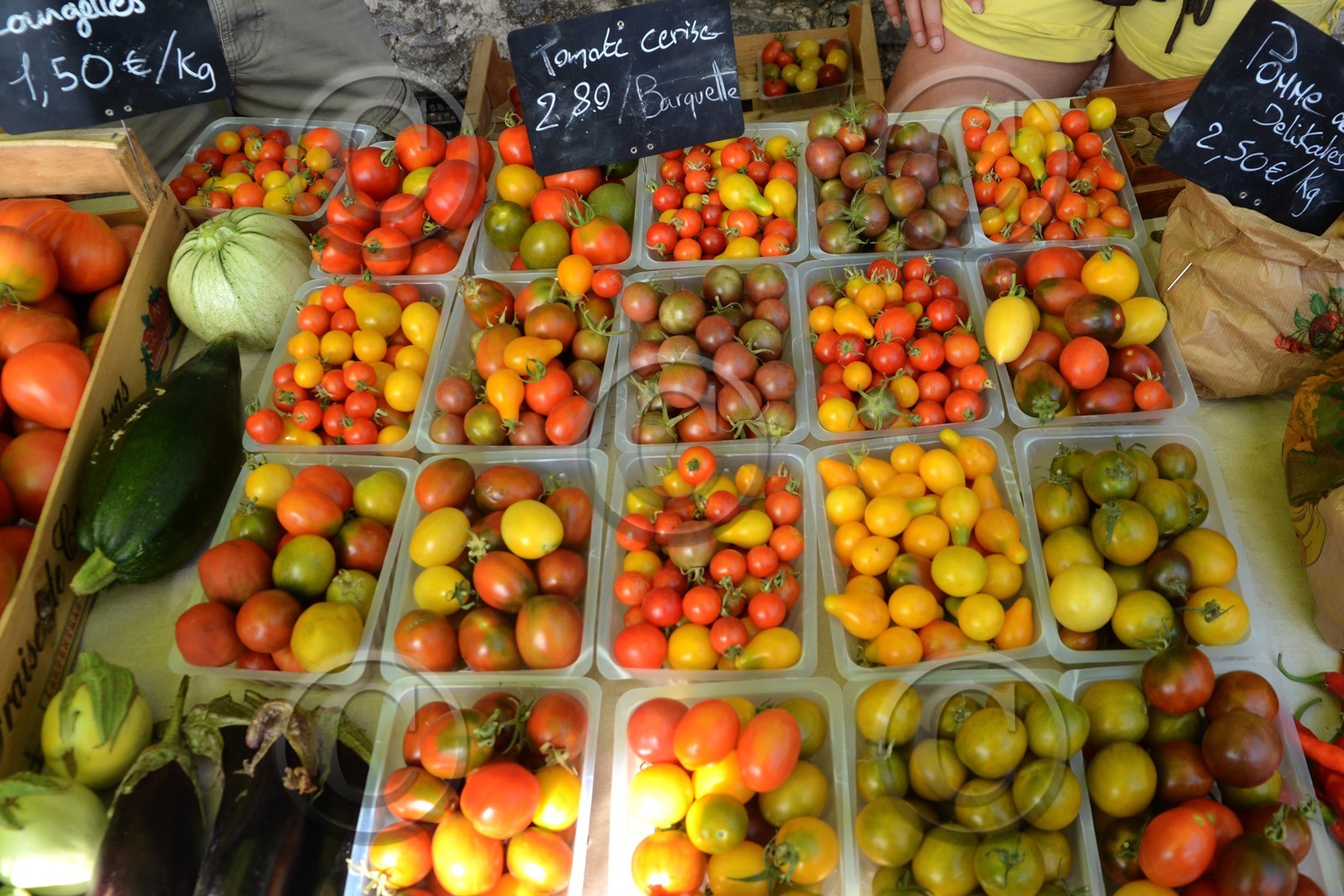 ref-589-marche-provence-tomate-50x75-0569.jpg