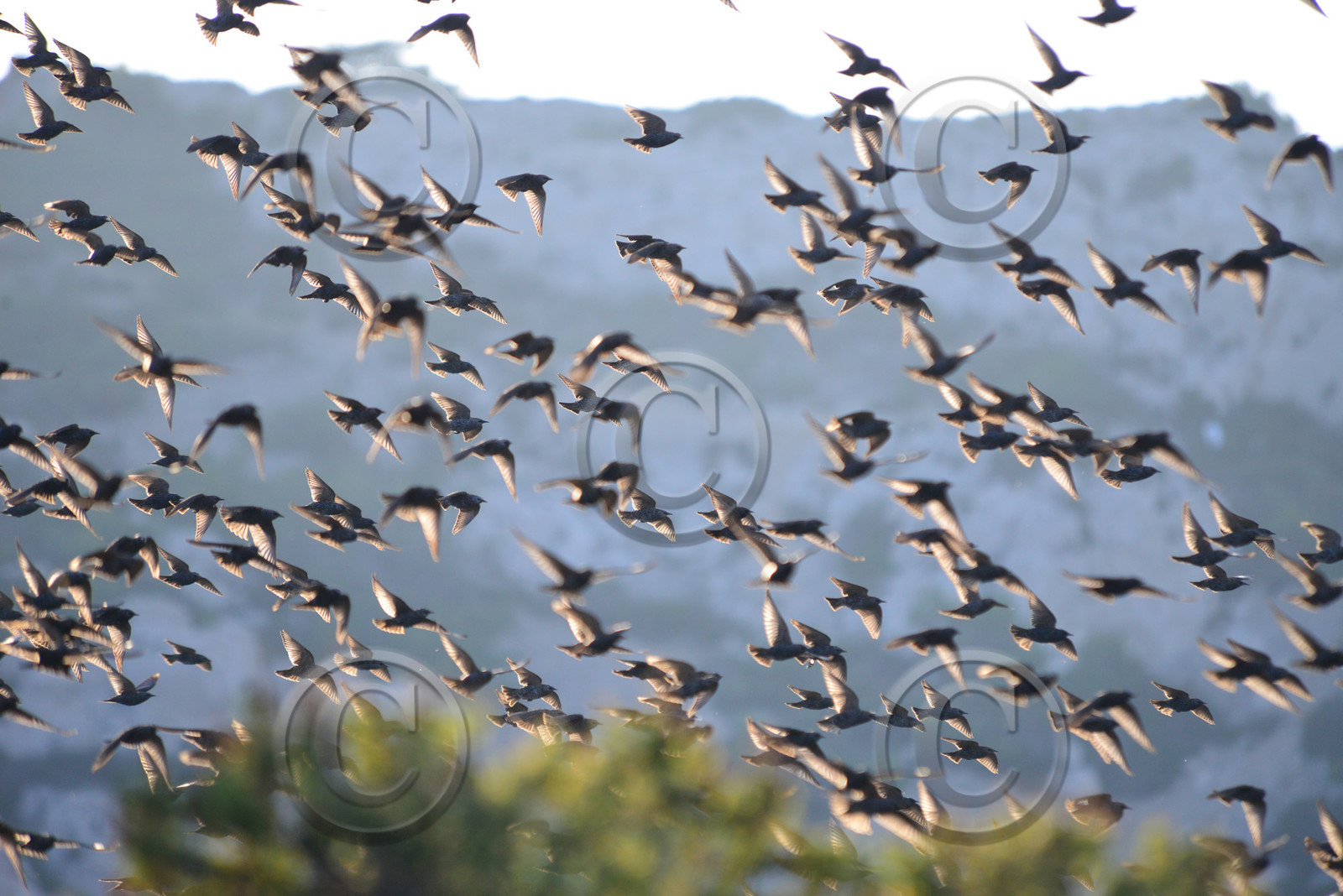 MISE A  JOUR  en cours