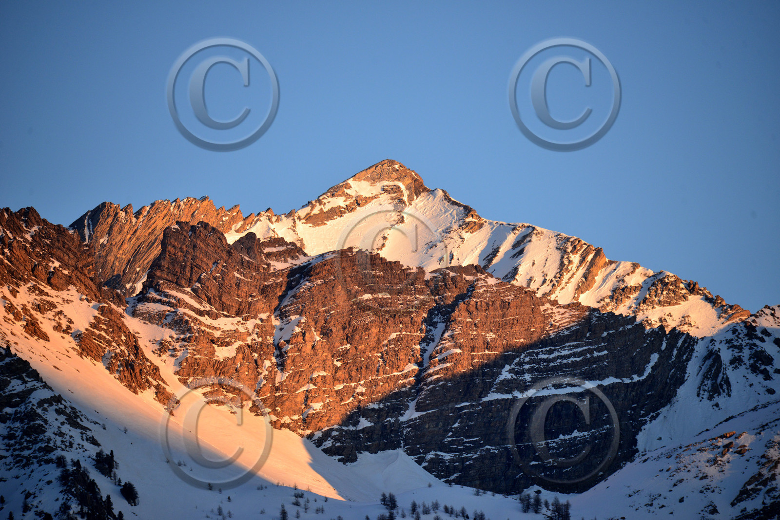 haute-alpes-de-provence-bouquetin-285-2.jpg