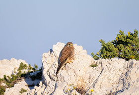 PETIT MATIN DANS LES CALANQUES EN HIVERS ...