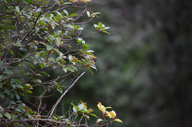 MISE A  JOUR  en cours