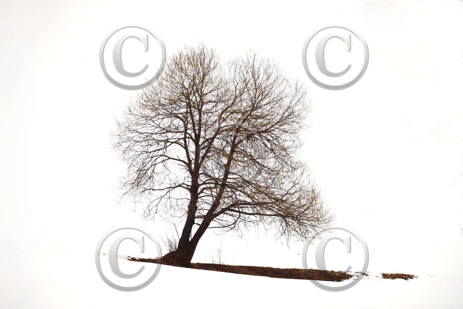 ALPES DE HAUTE PROVENCE