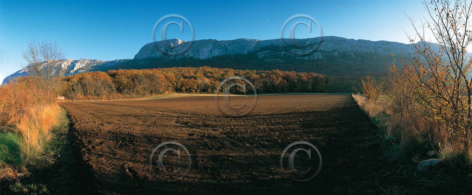 Photo de la sainte baume