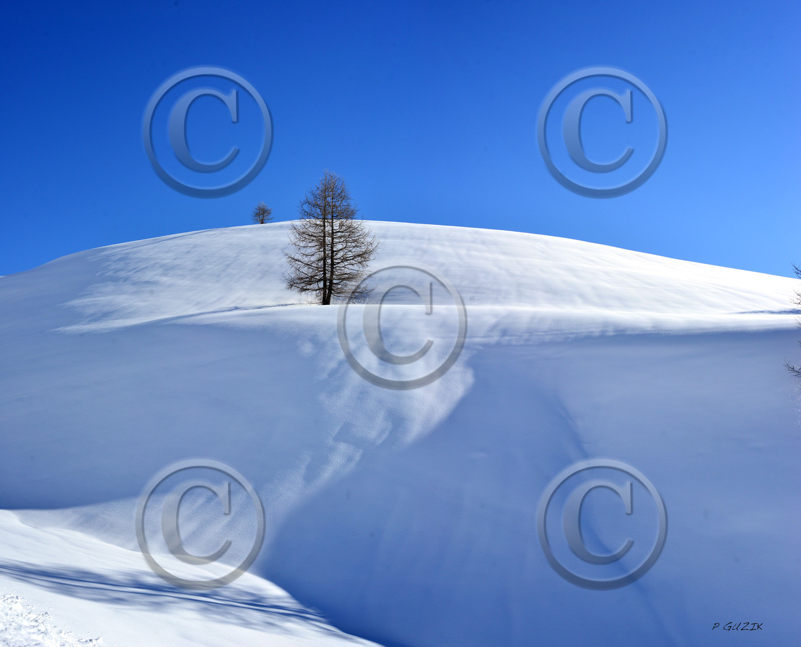 montagne haute alpes ,queyras, mercantour,alpes de haute provence,alpes maritime