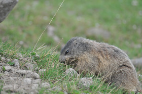 MISE A  JOUR  en cours