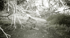 MISE A  JOUR  en cours