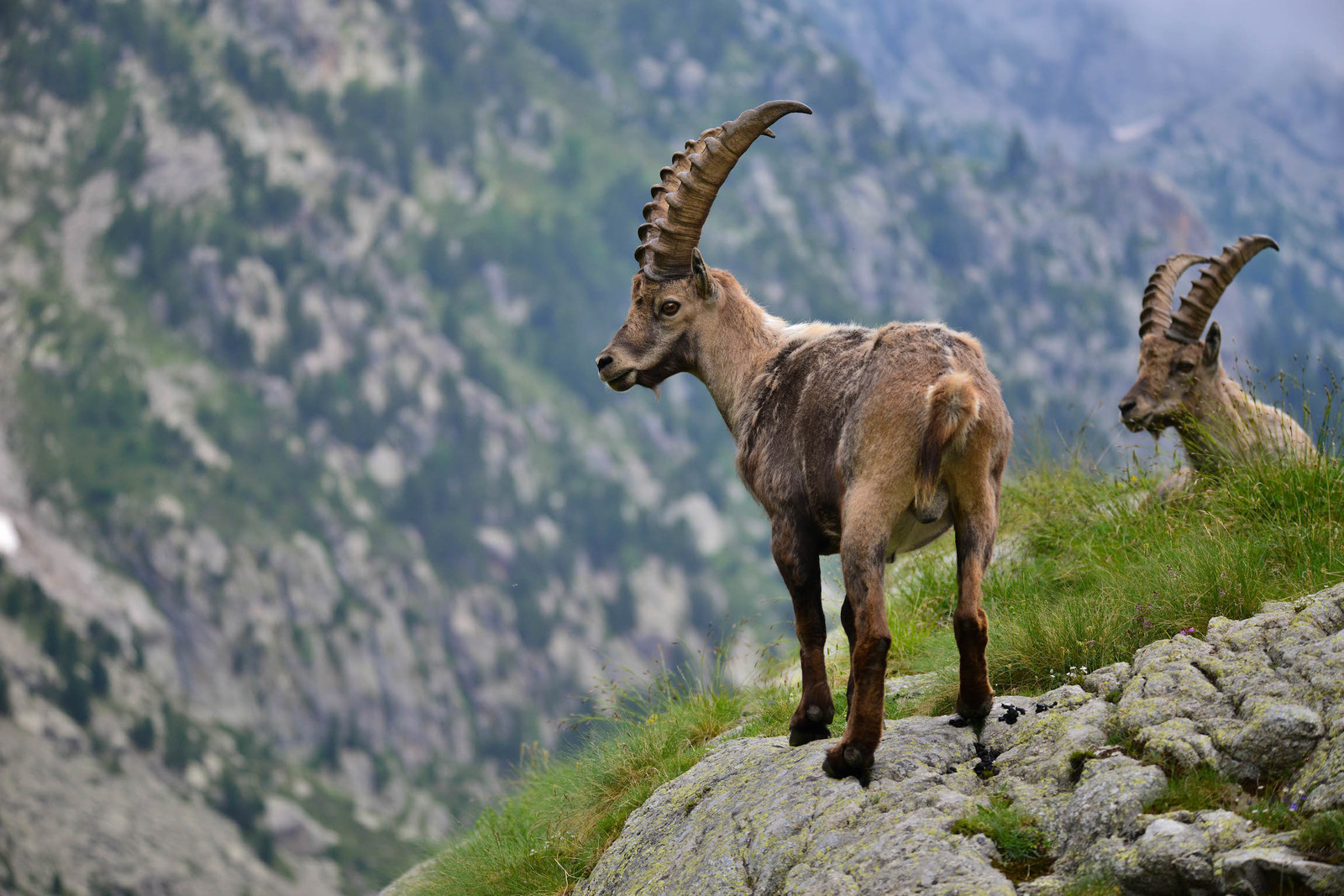 MISE A  JOUR  en cours