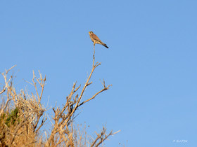 MISE A  JOUR  en cours