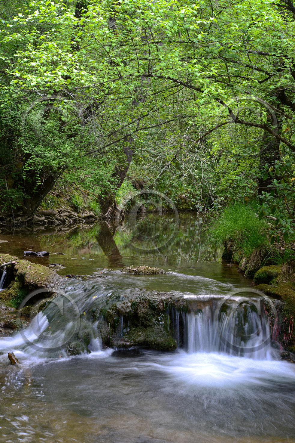 Photo de la sainte baume