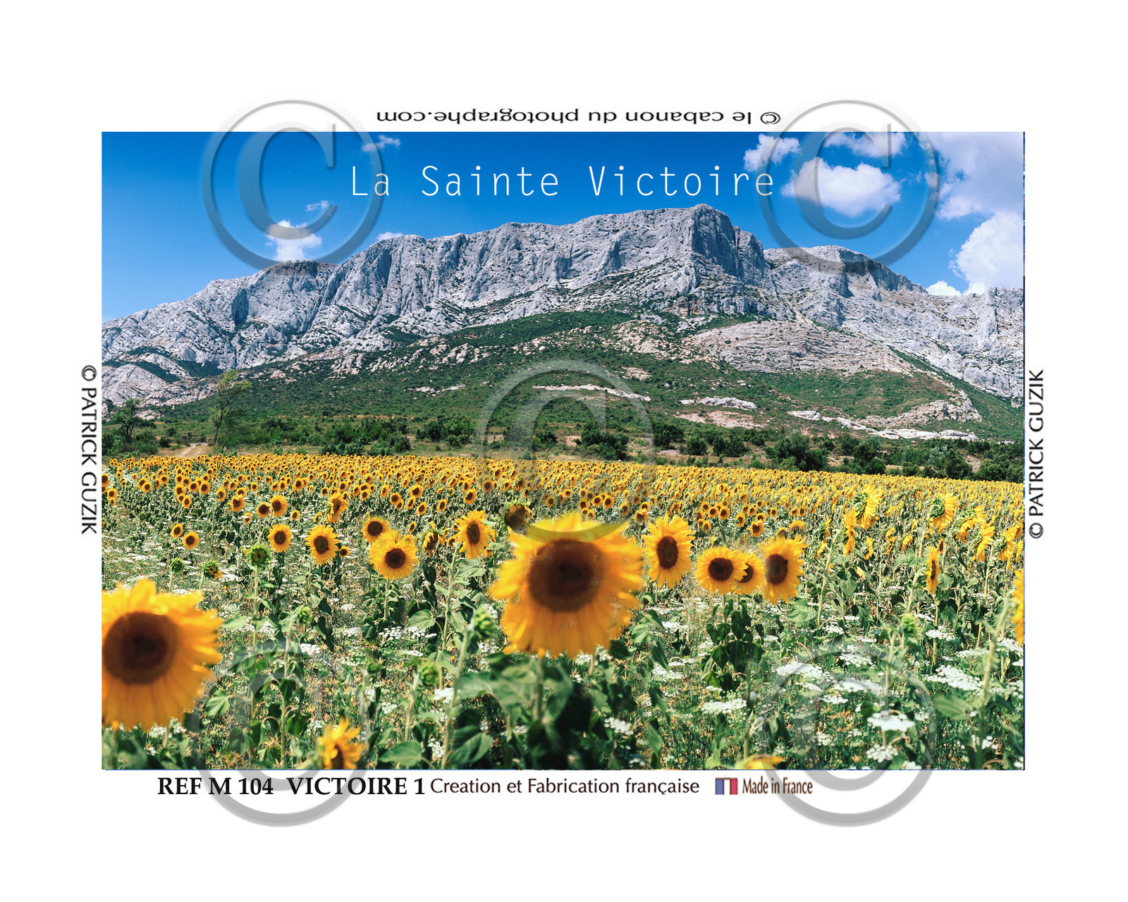 REF M104. AIX en Provence ST Victoire tournesol-8054.jpg