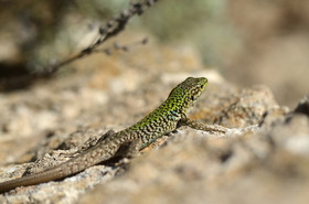 MISE A  JOUR  en cours