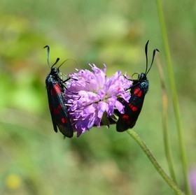 Photo de la sainte baume