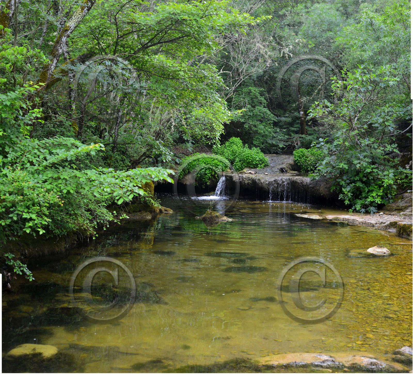 Photo de la sainte baume