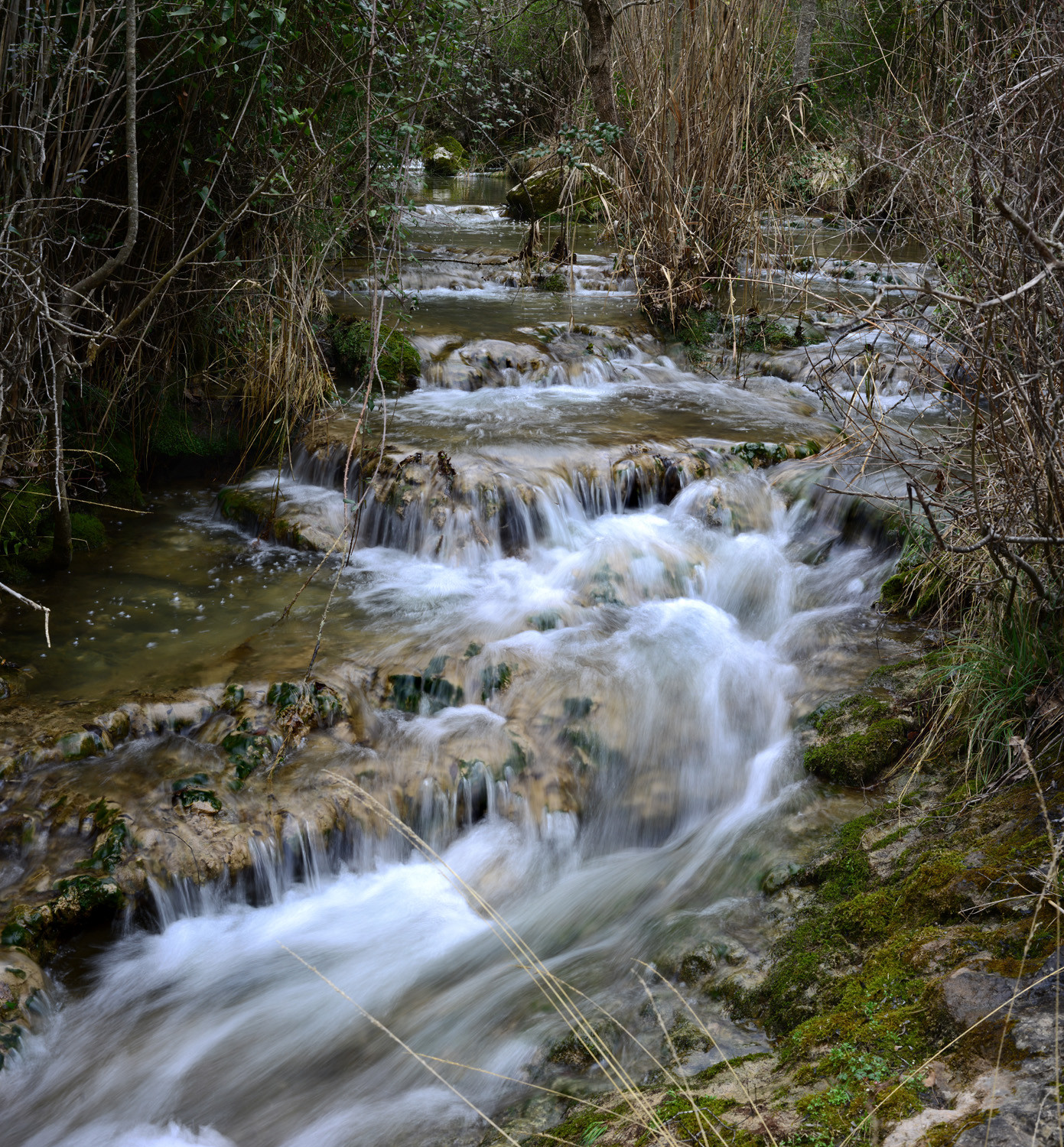 Photo de la sainte baume