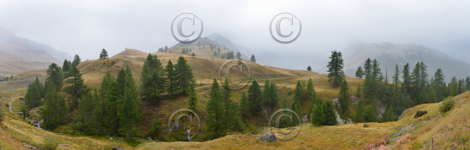 montagne haute alpes ,queyras, mercantour,alpes de haute provence,alpes maritime