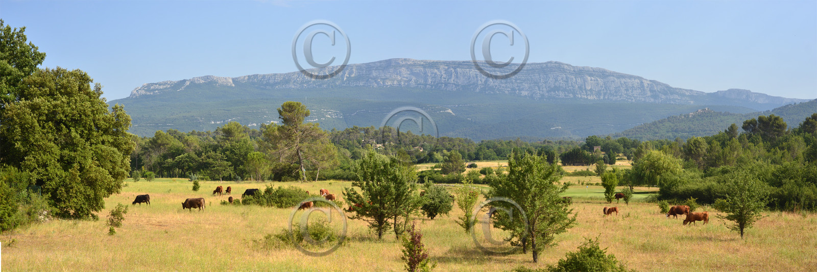 Photo de la sainte baume