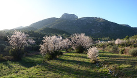 Photo de la sainte baume