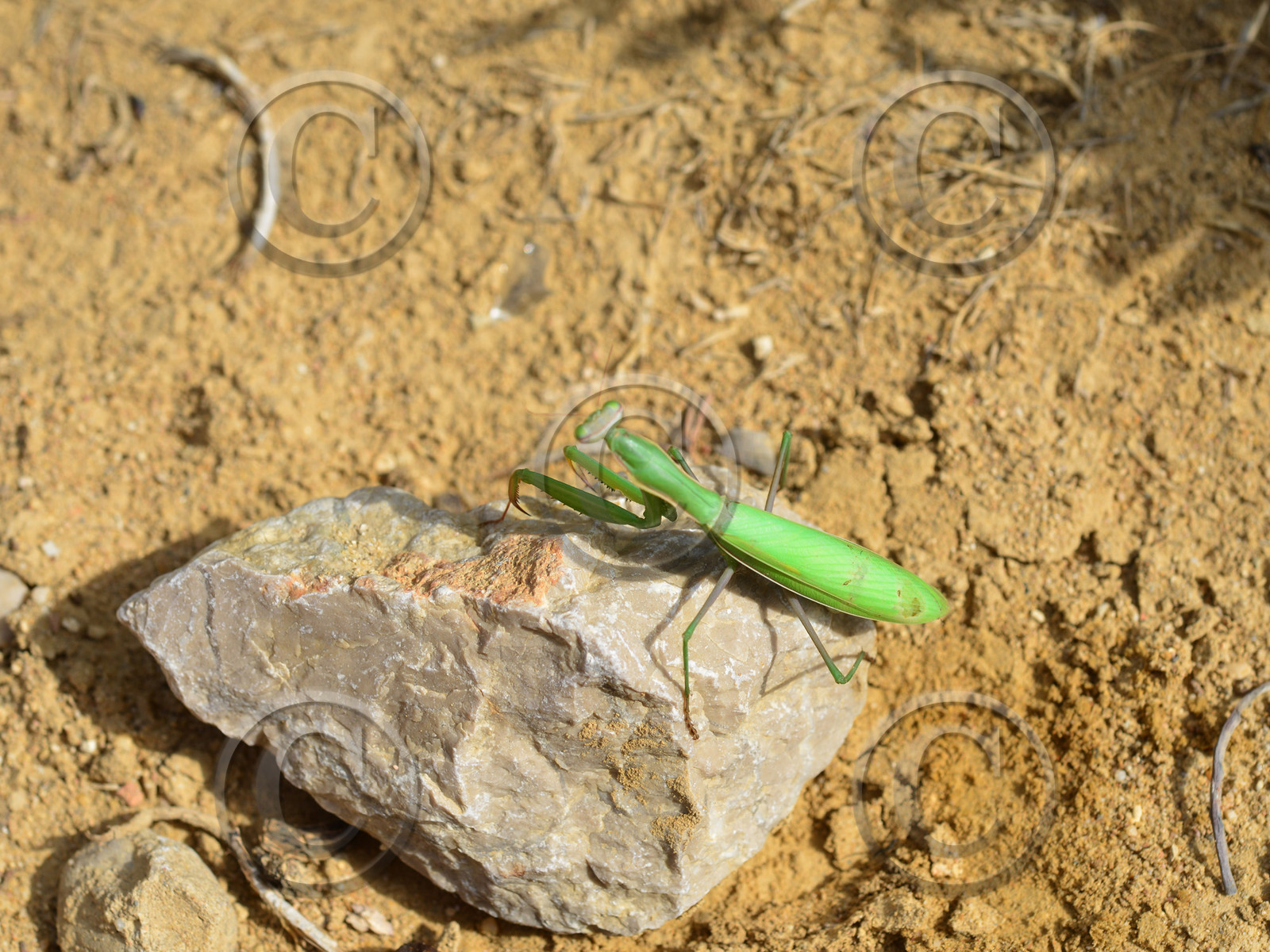 MISE A  JOUR  en cours