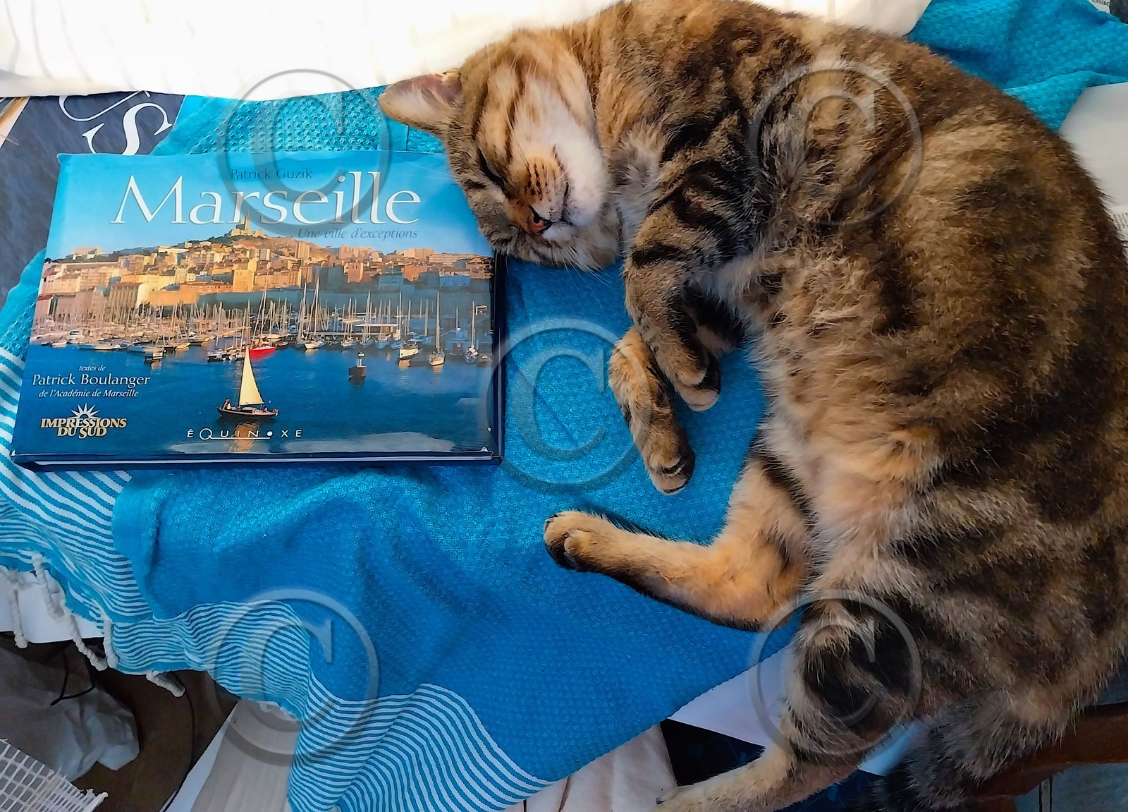 UN GRAND LECTEUR DE RÊVES