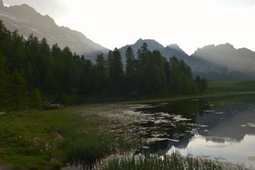 DANS LES ALPES DU SUD  , LE QUEYRAS