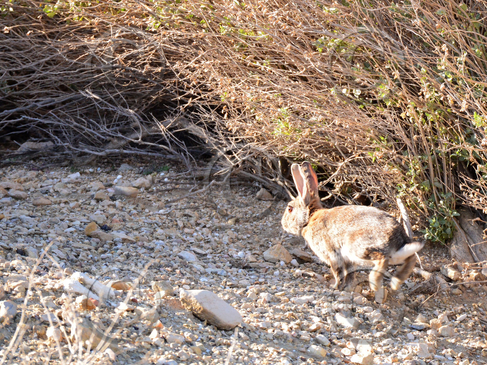 MISE A  JOUR  en cours