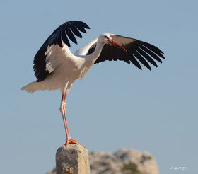 MISE A  JOUR  en cours