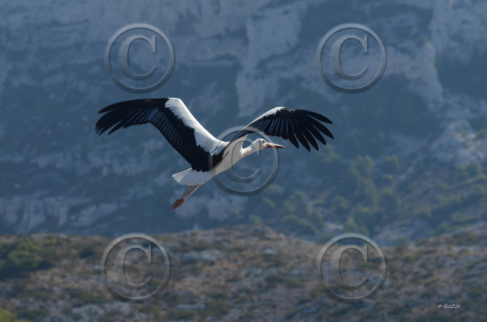 MISE A  JOUR  en cours