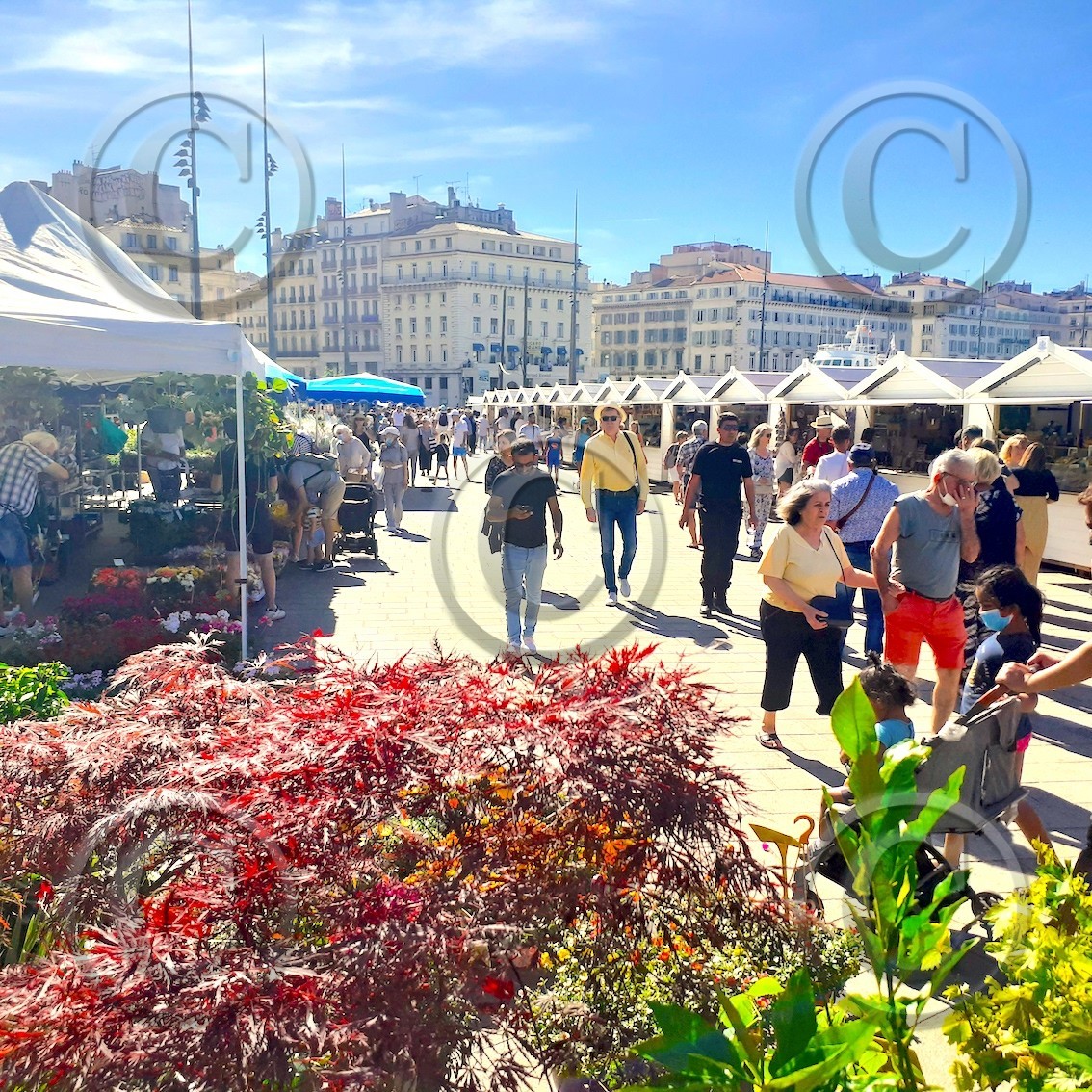 2023 l'année derniere sur le Vieux Port  de Marseille