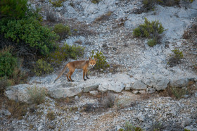 MISE A  JOUR  en cours