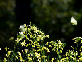 MISE A  JOUR  en cours