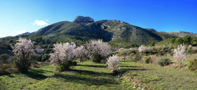 Photo de la sainte baume