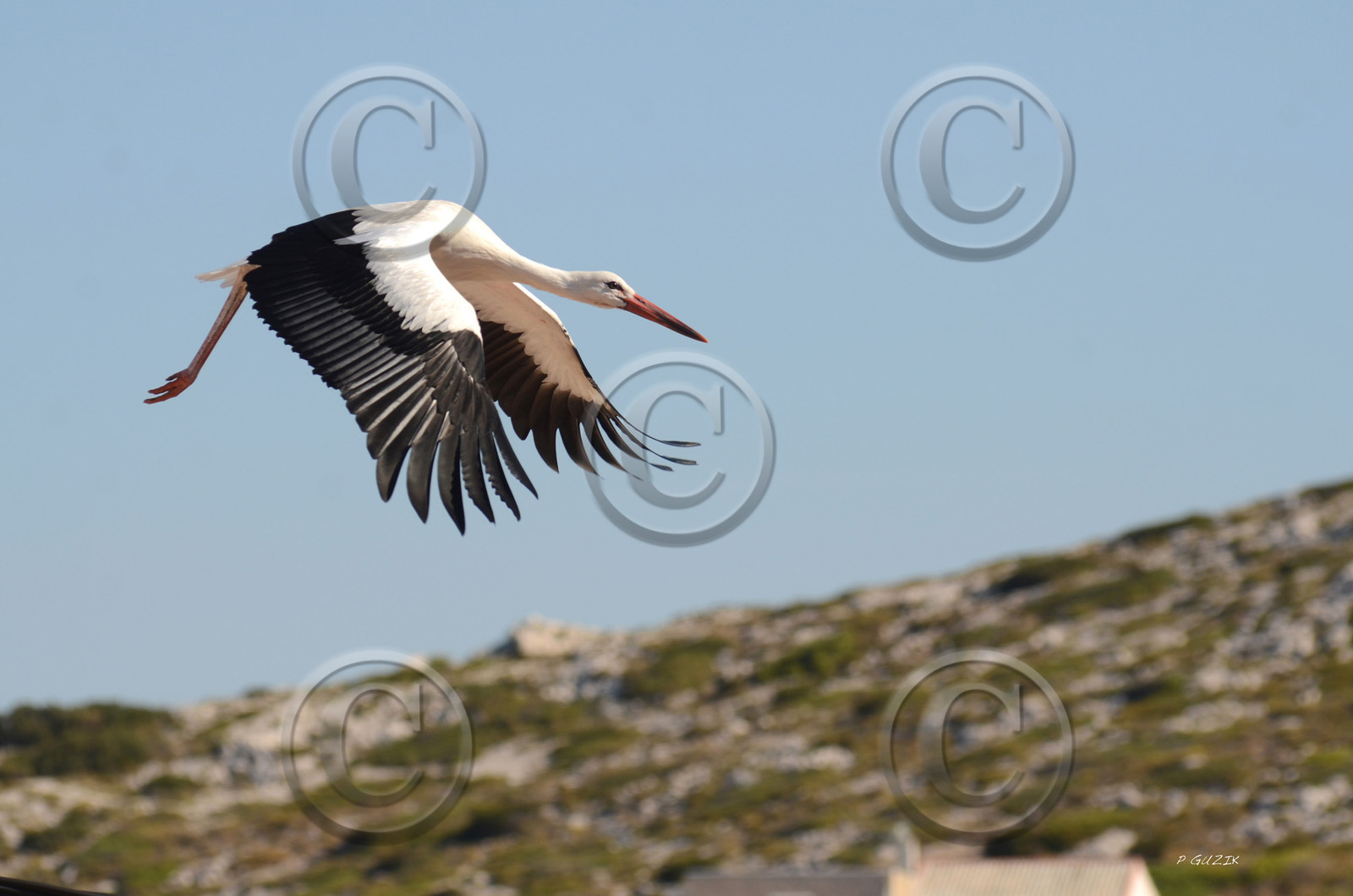 MISE A  JOUR  en cours