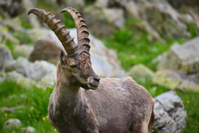 MISE A  JOUR  en cours