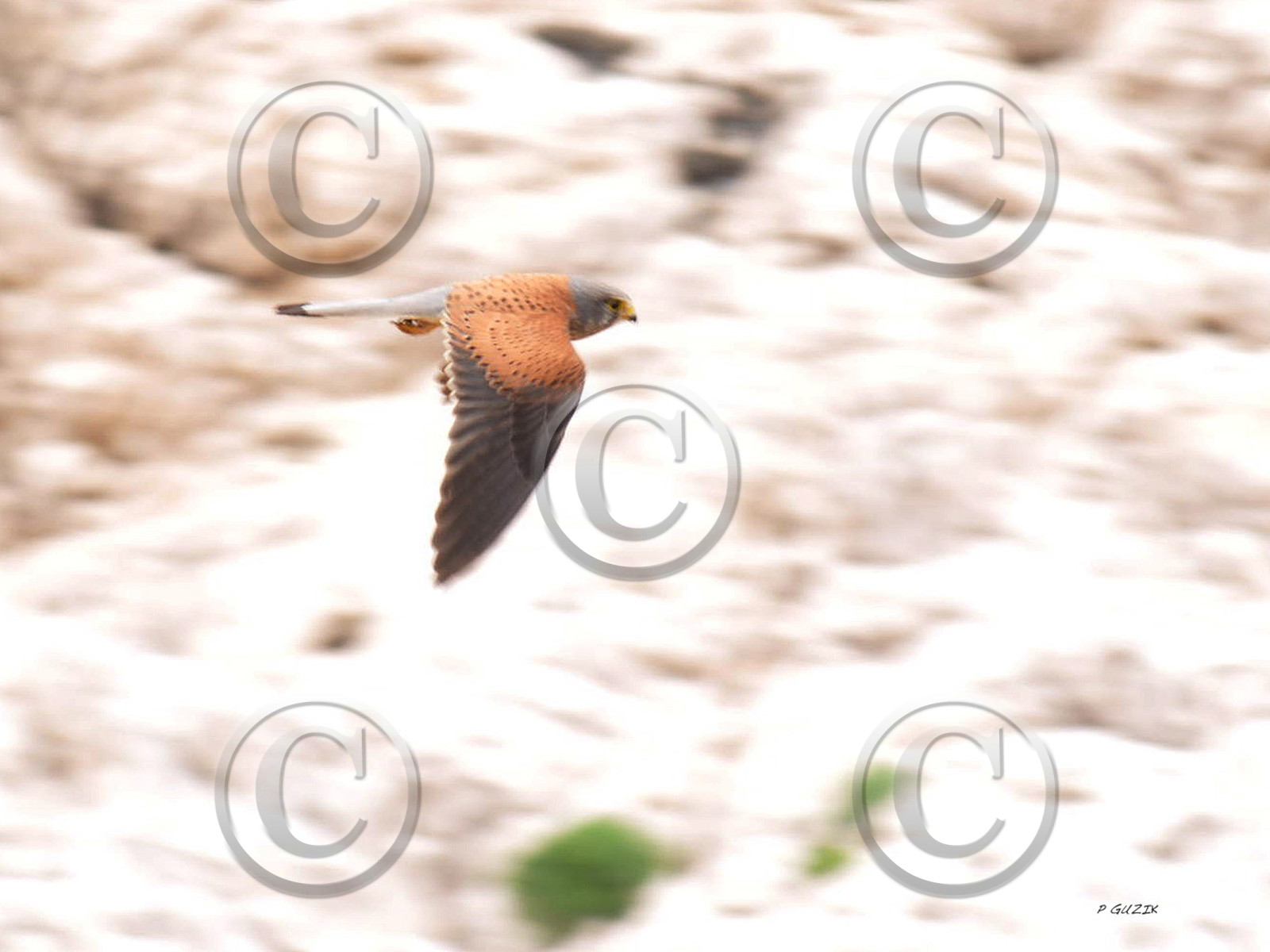 MISE A  JOUR  en cours